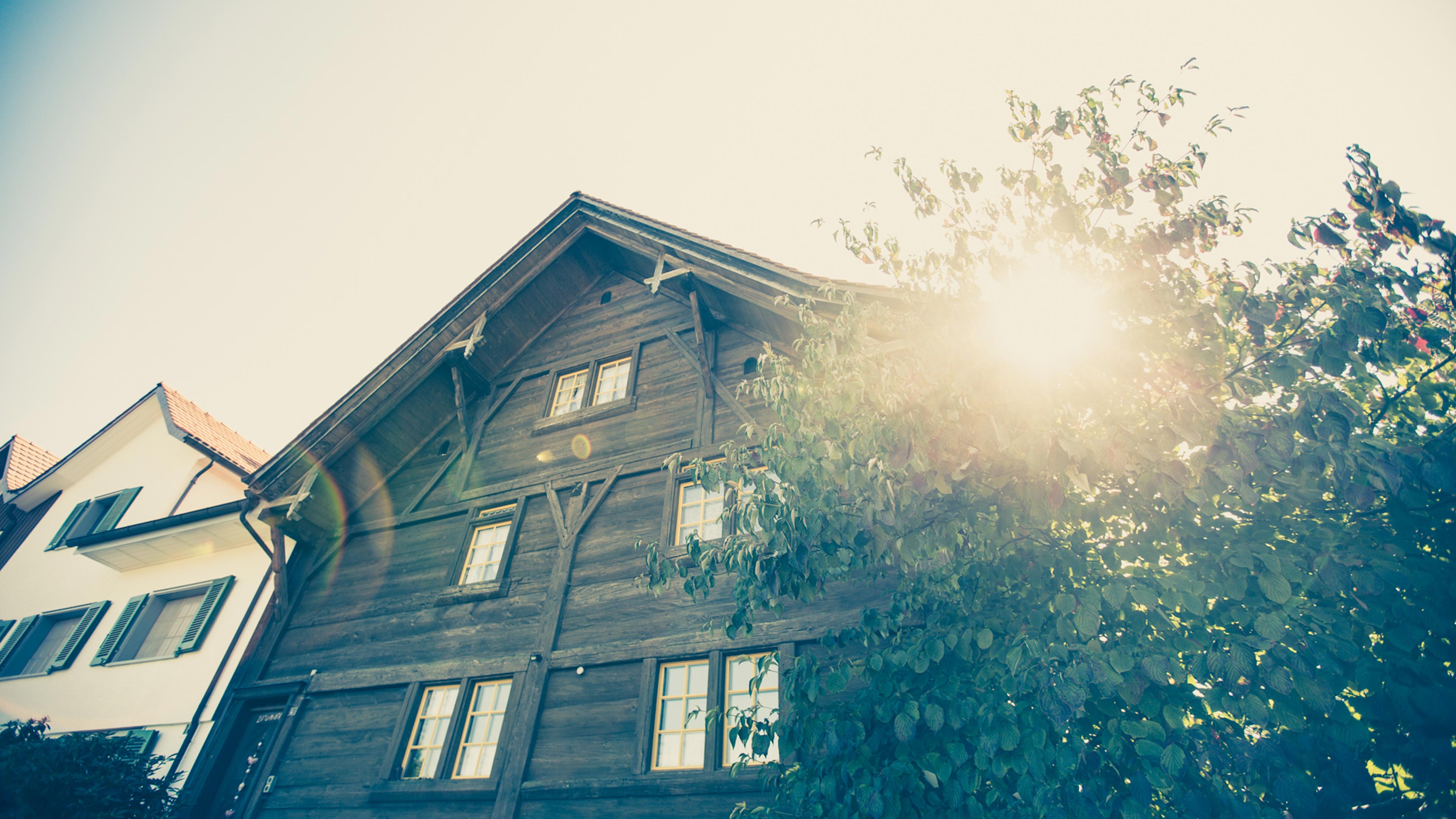 Animiertes Niederhelfenschwil Logo mit hellgrünem Schriftzug und Grashalm, der im Wind weht.