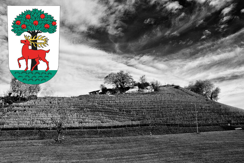 Rebberg am Gupfen in Walzenhausen mit eingeblendetem Wappen.